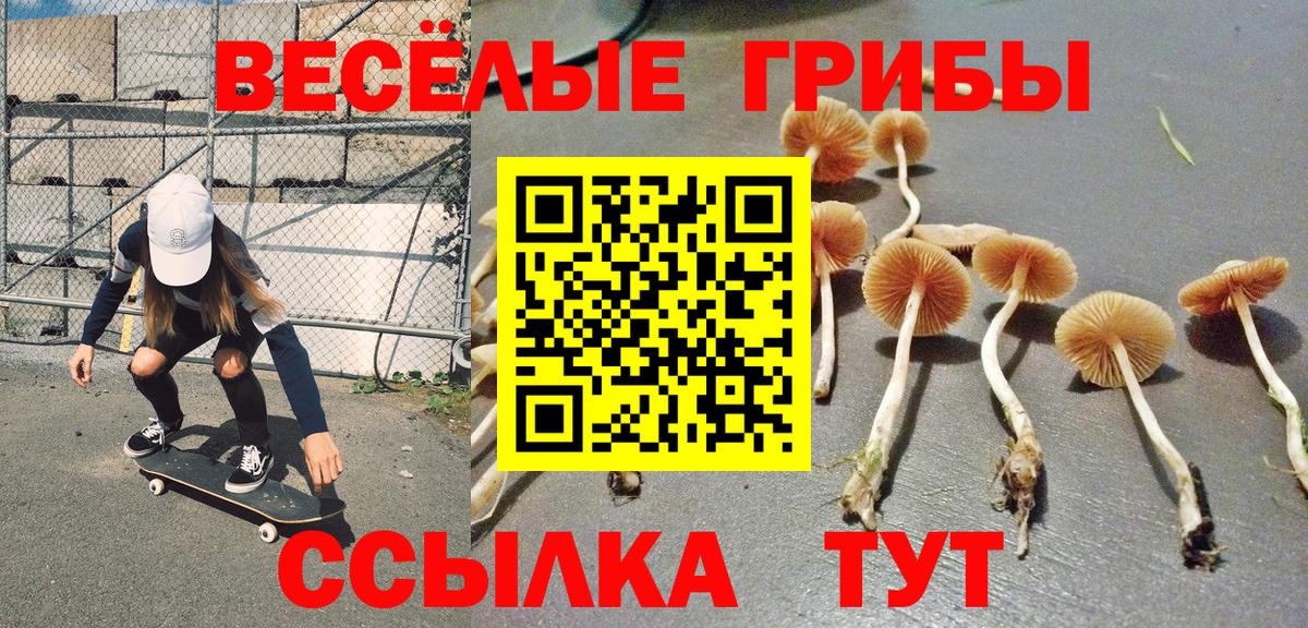 Галлюциногенные грибы GOLDEN TEACHER  Вход с VPN  Ступино 
